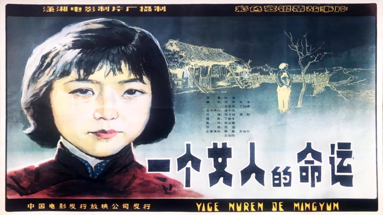 Wang Bozhao