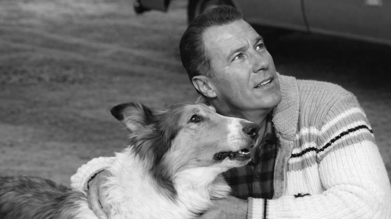 Lassie