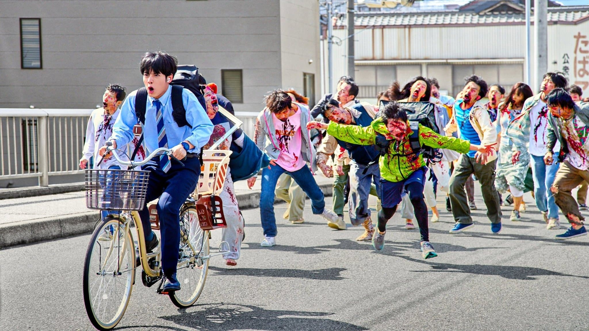 Shota Taniguchi