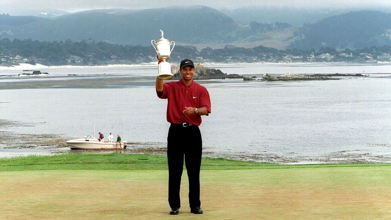 Steve Williams