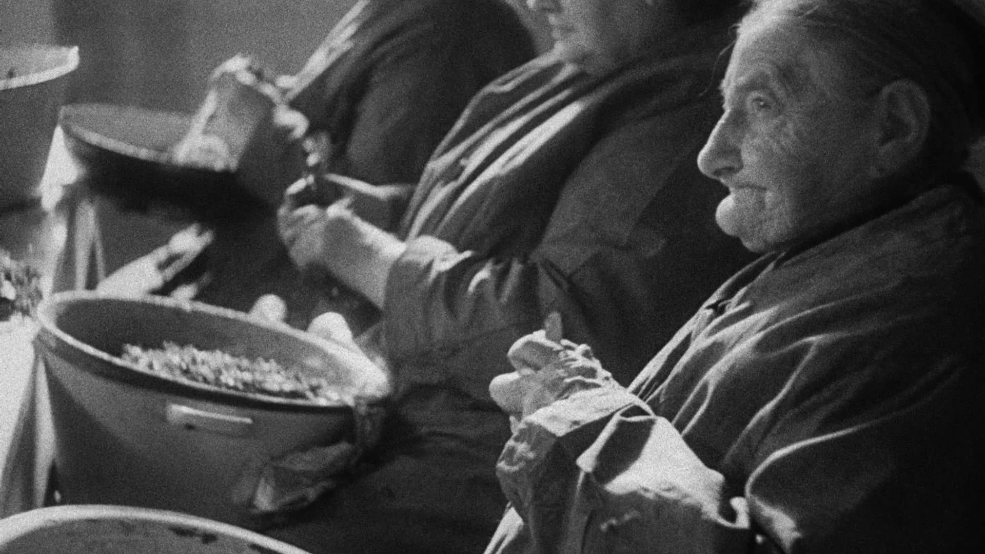 Mickey Kertesz