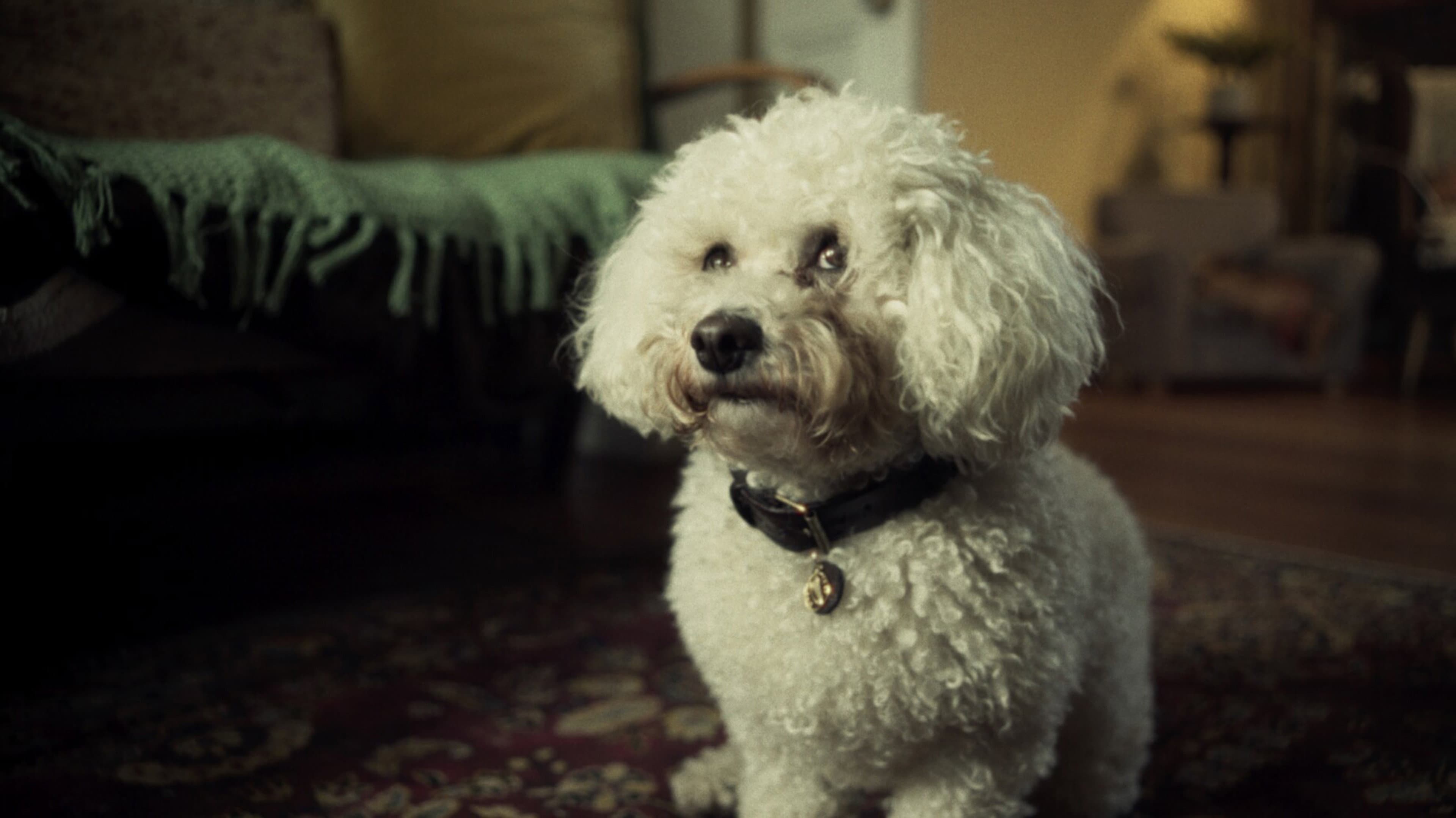 Bonnie