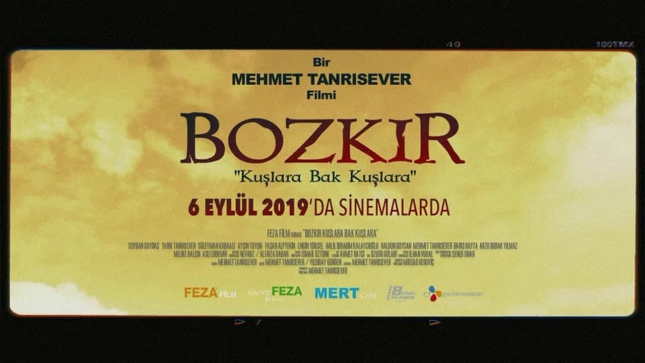 Arzu Budak