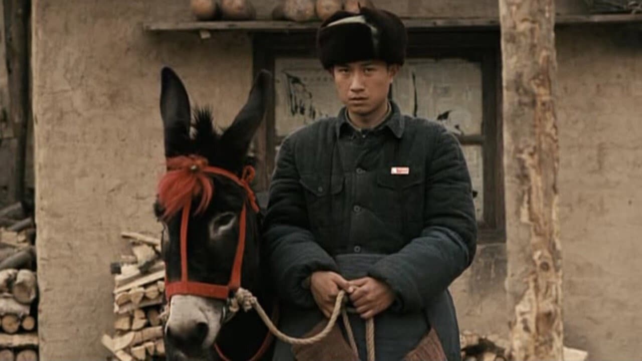 Bai Jing
