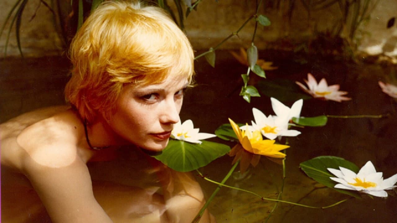 Lili Brajer