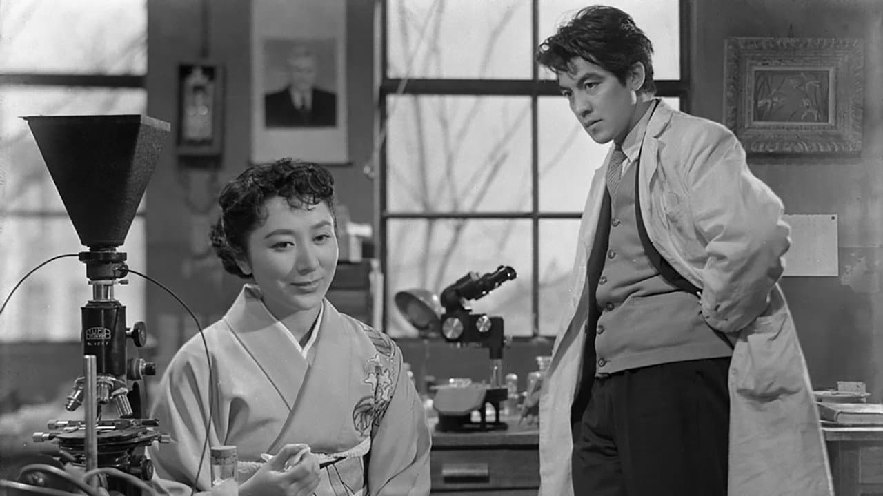 Toshiko Hayakawa