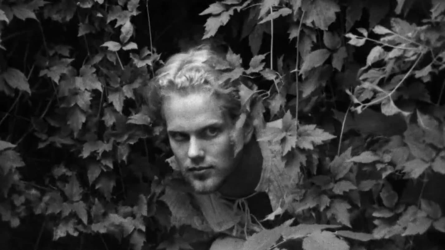 Vince Rimmer