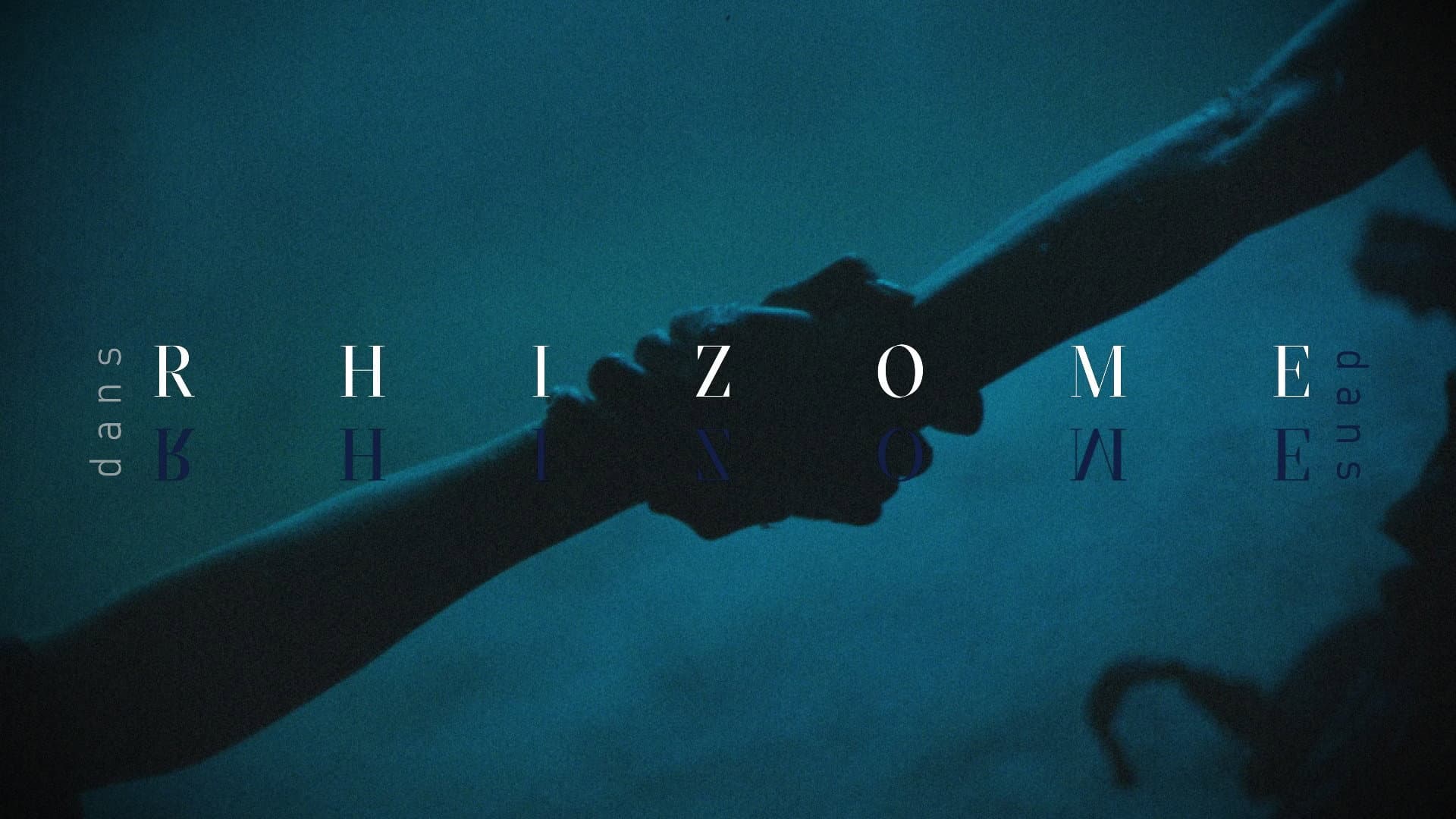Rhizome
