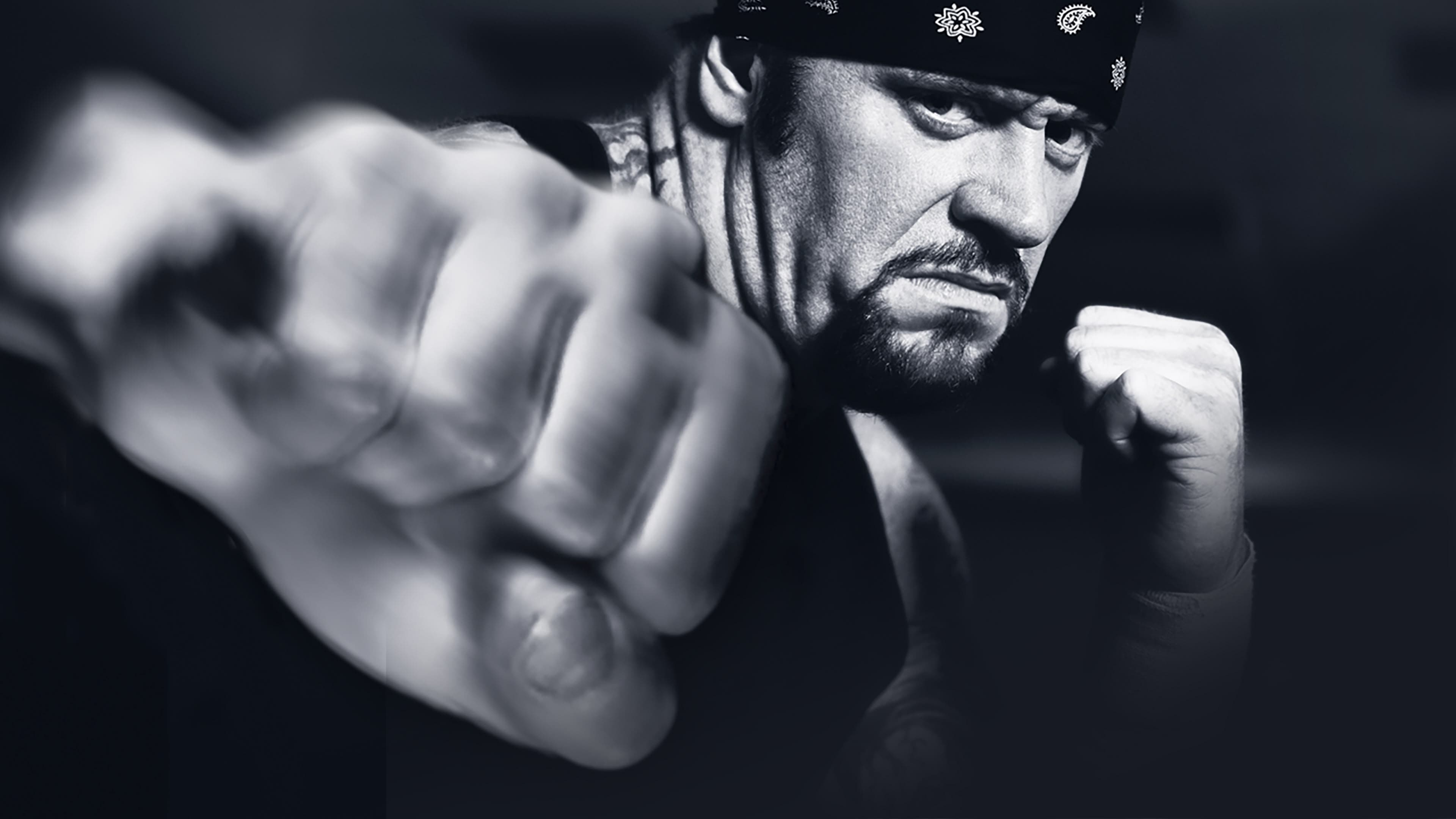 WWE Vengeance 2003