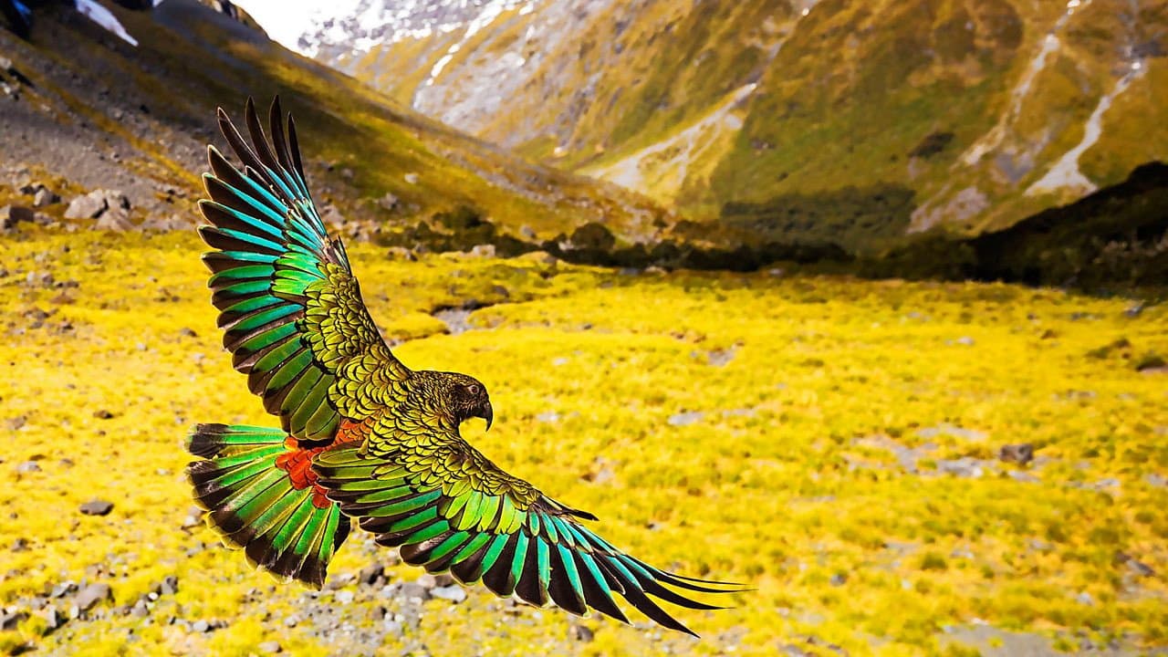 New Zealand: Earth's Mythical Islands