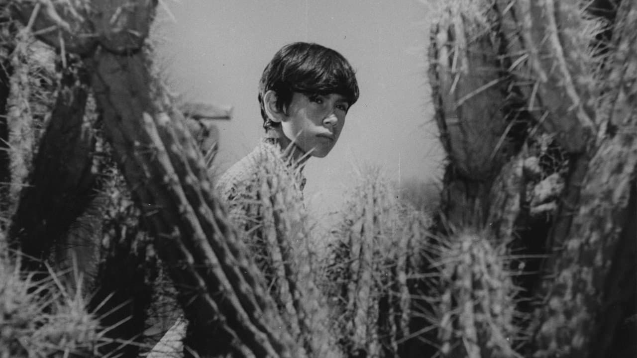 Raúl Parini