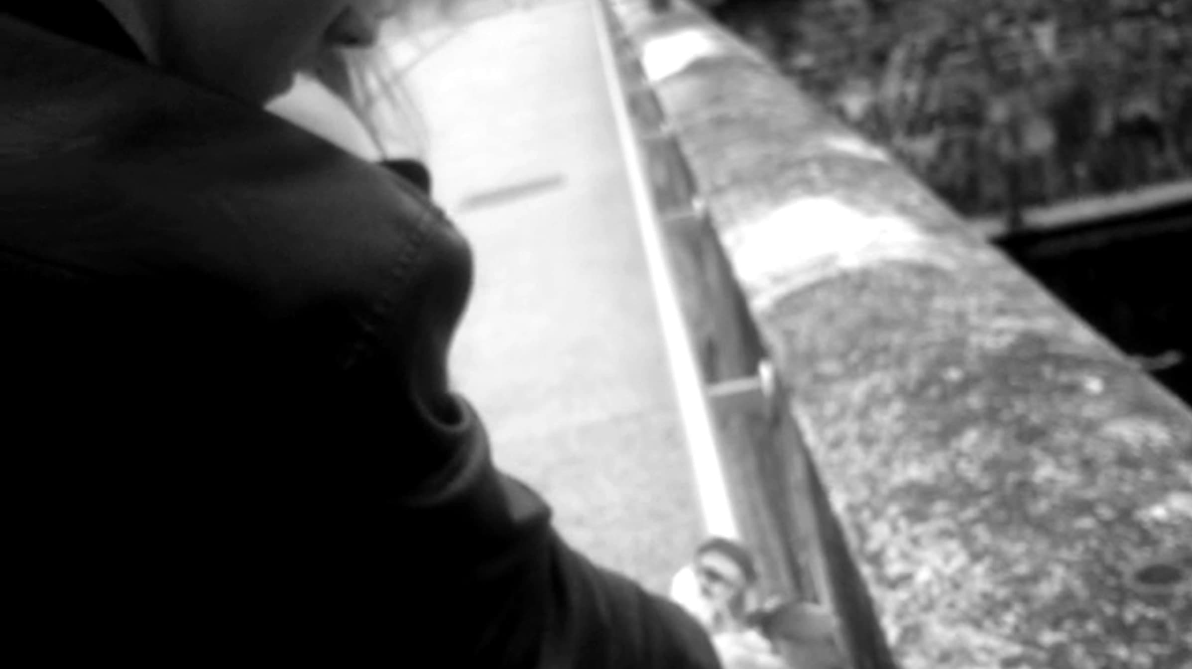 Victor Lepesant
