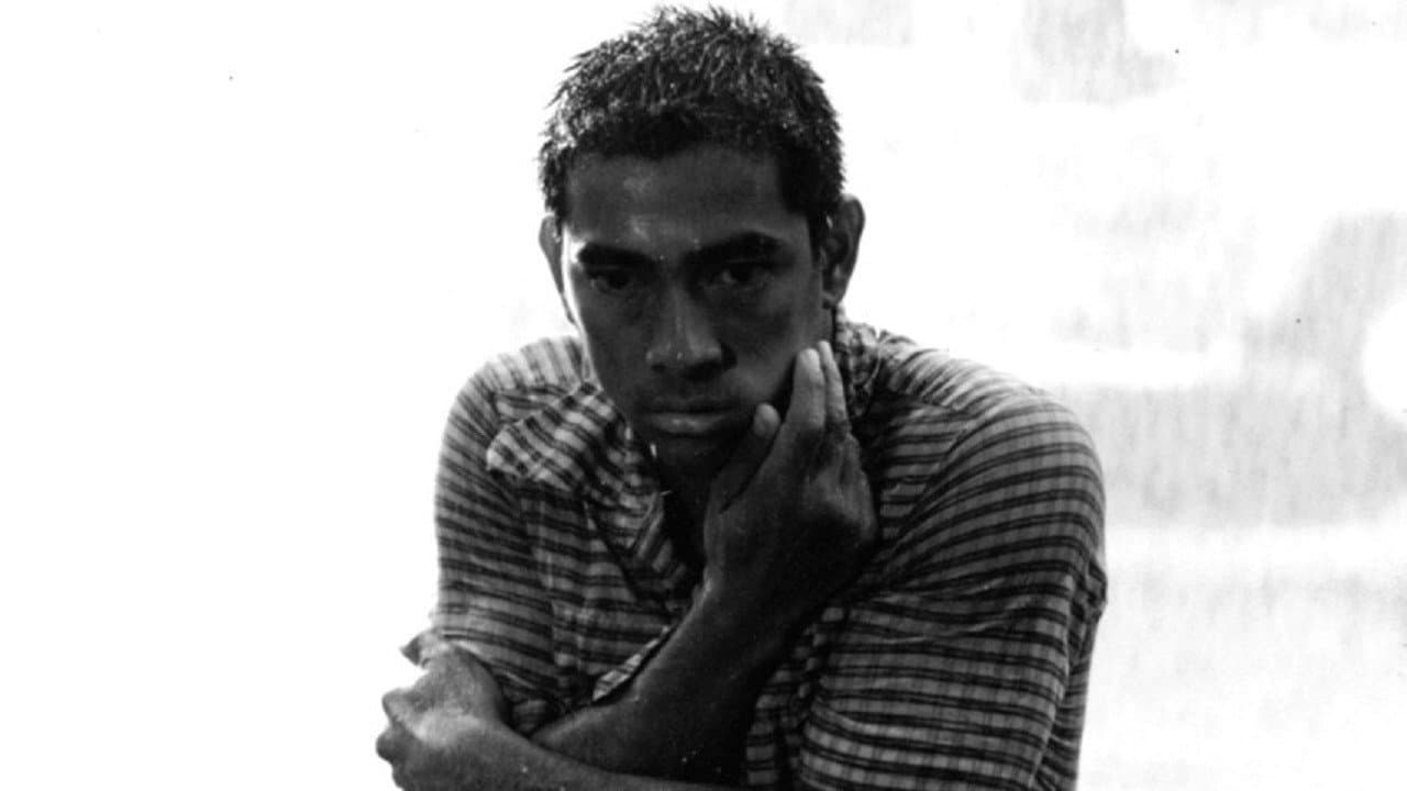 Dindi Gallardo