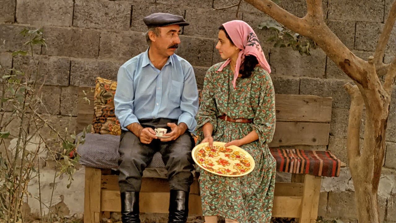 Nilgün Nazlı