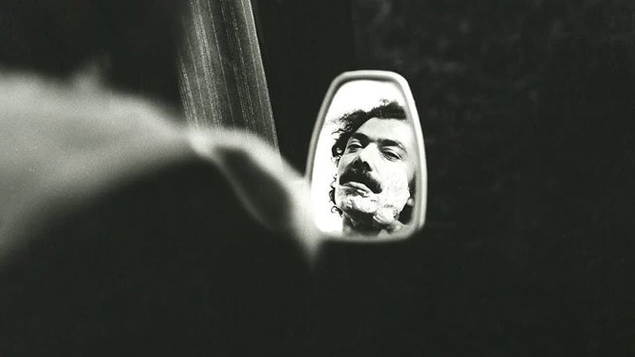Dariush Iran Nezhad