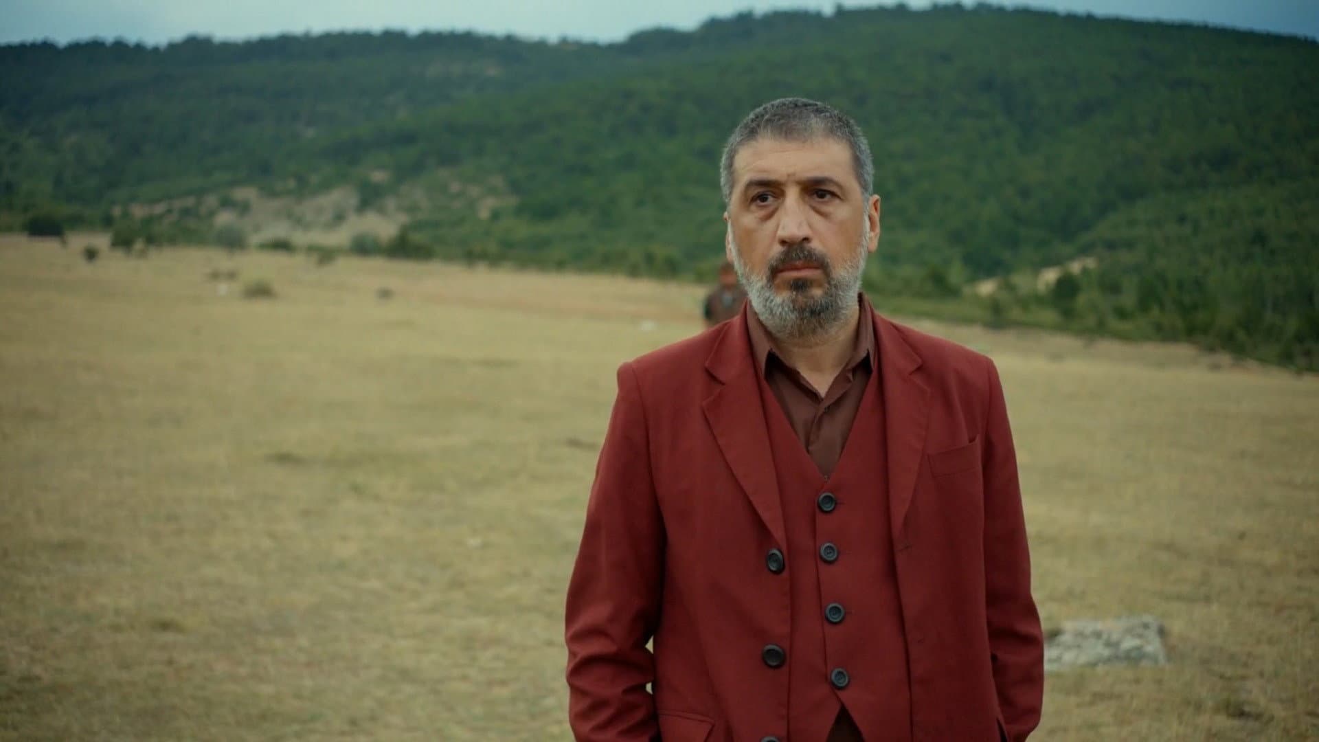 Açelya Devrim Yılhan