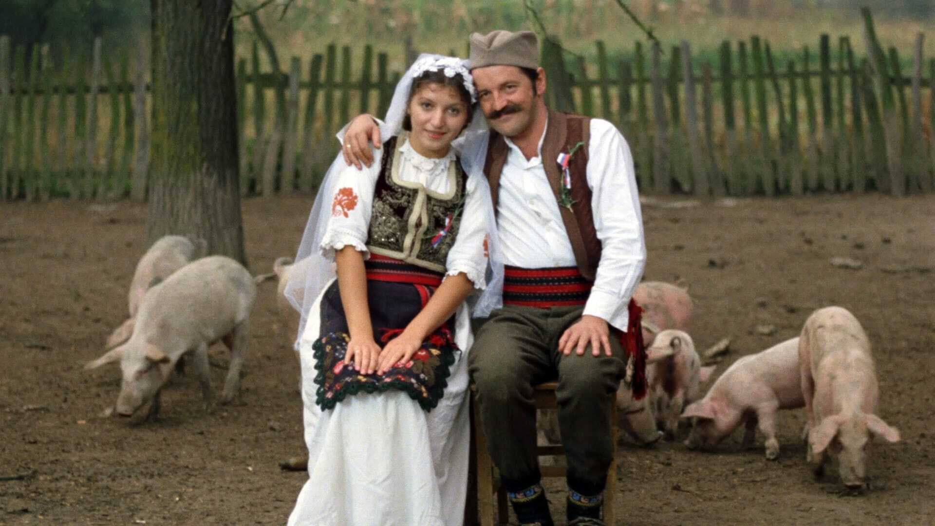Darinka Živković