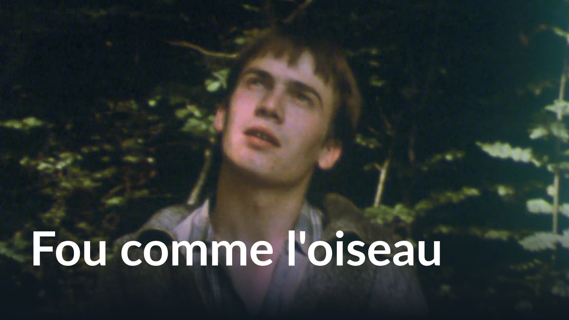 Pierre Trapet
