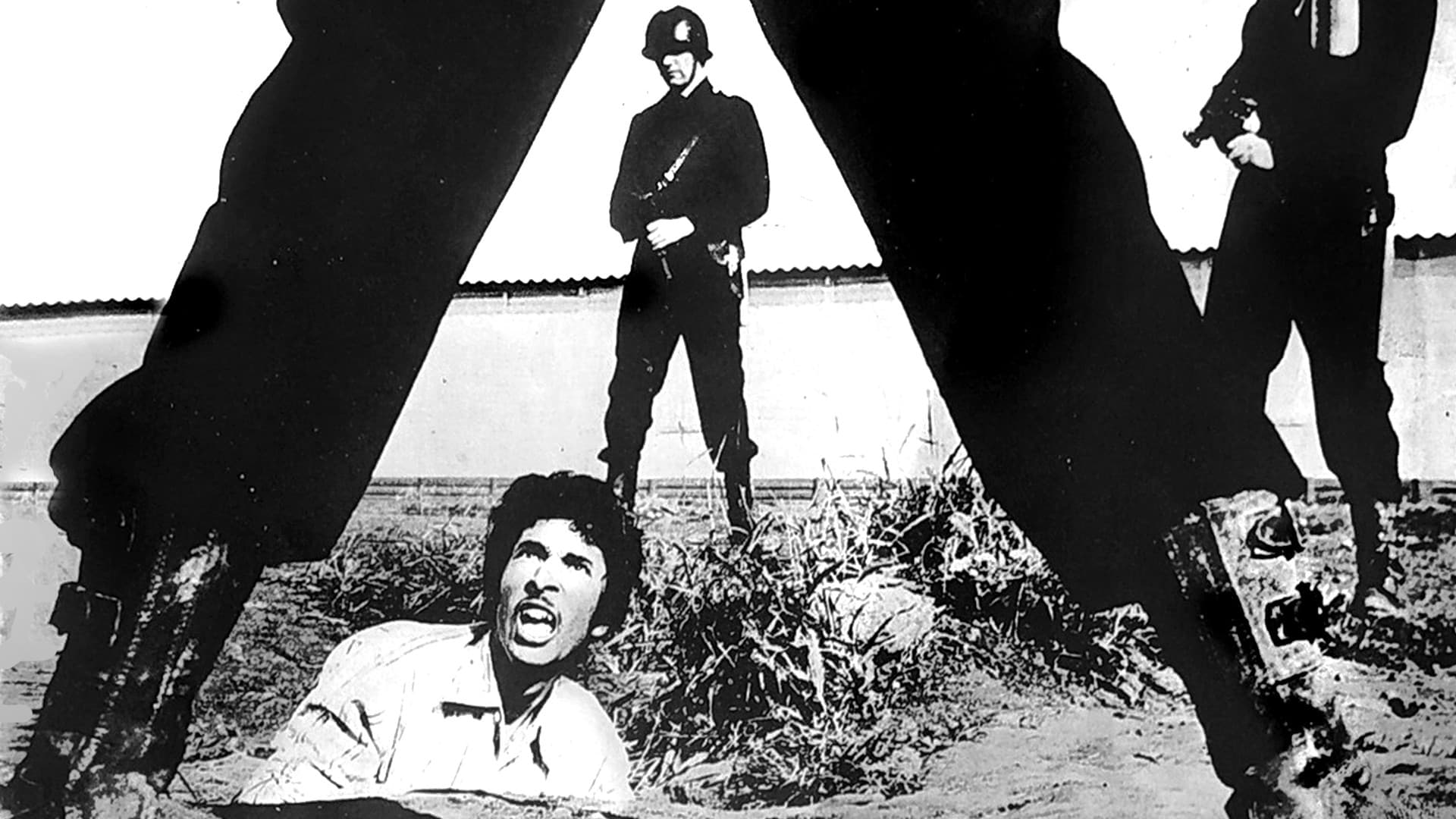 M'hamed Benguettaf