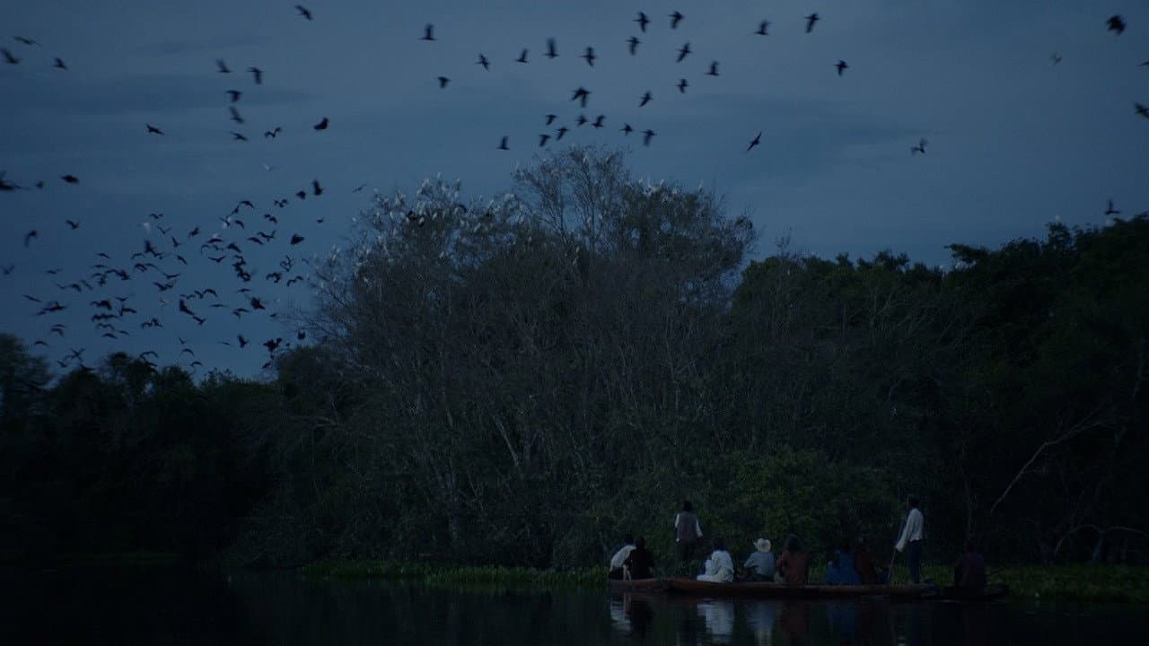 Nilton Amazonas