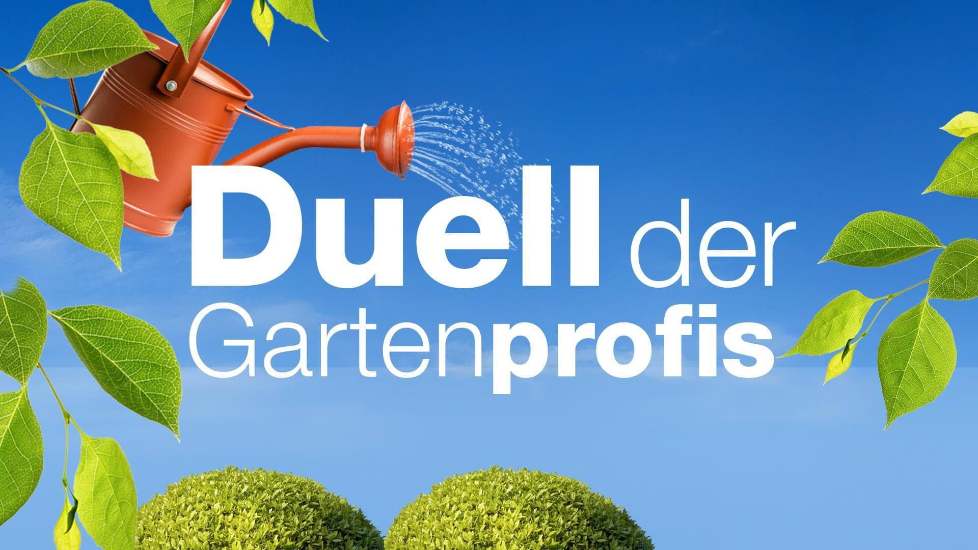 Duel of landscape gardener