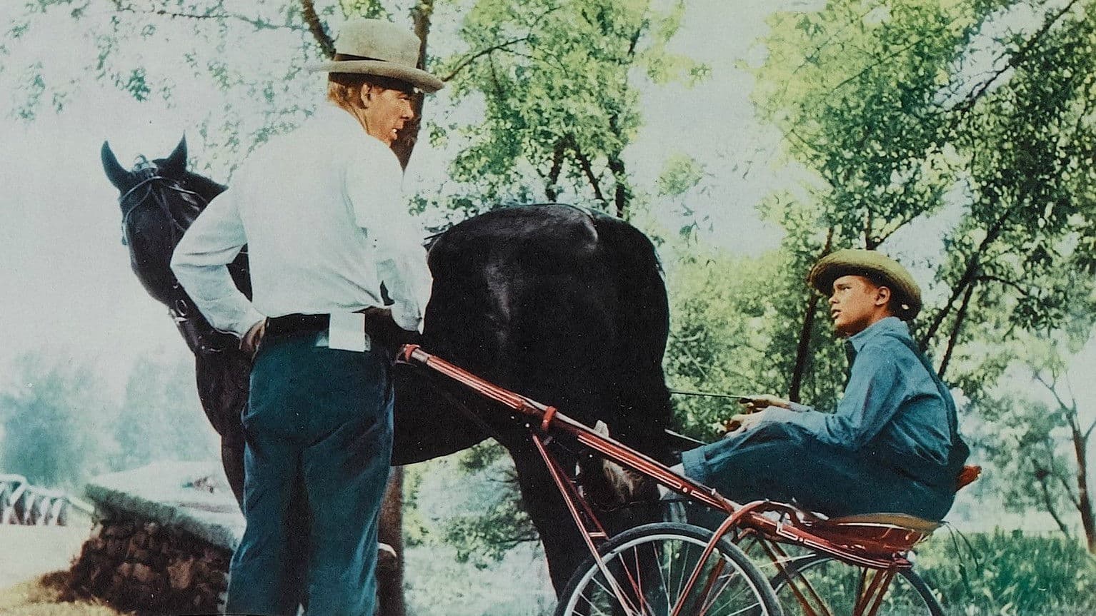Earle Hodgins