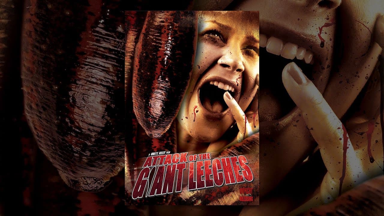Shawna McSheffrey