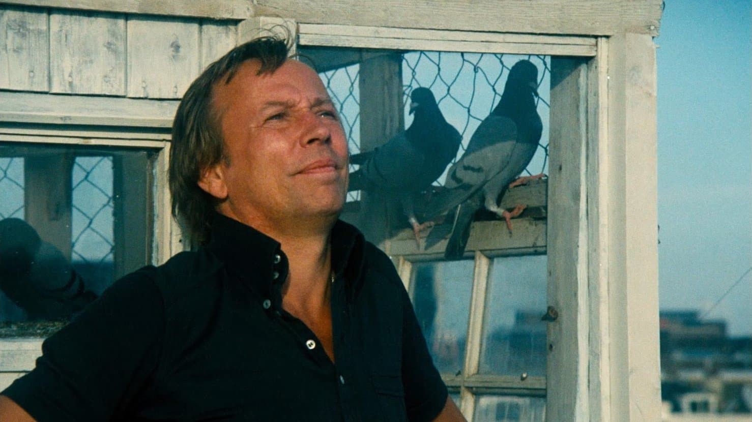 Ton Lensink