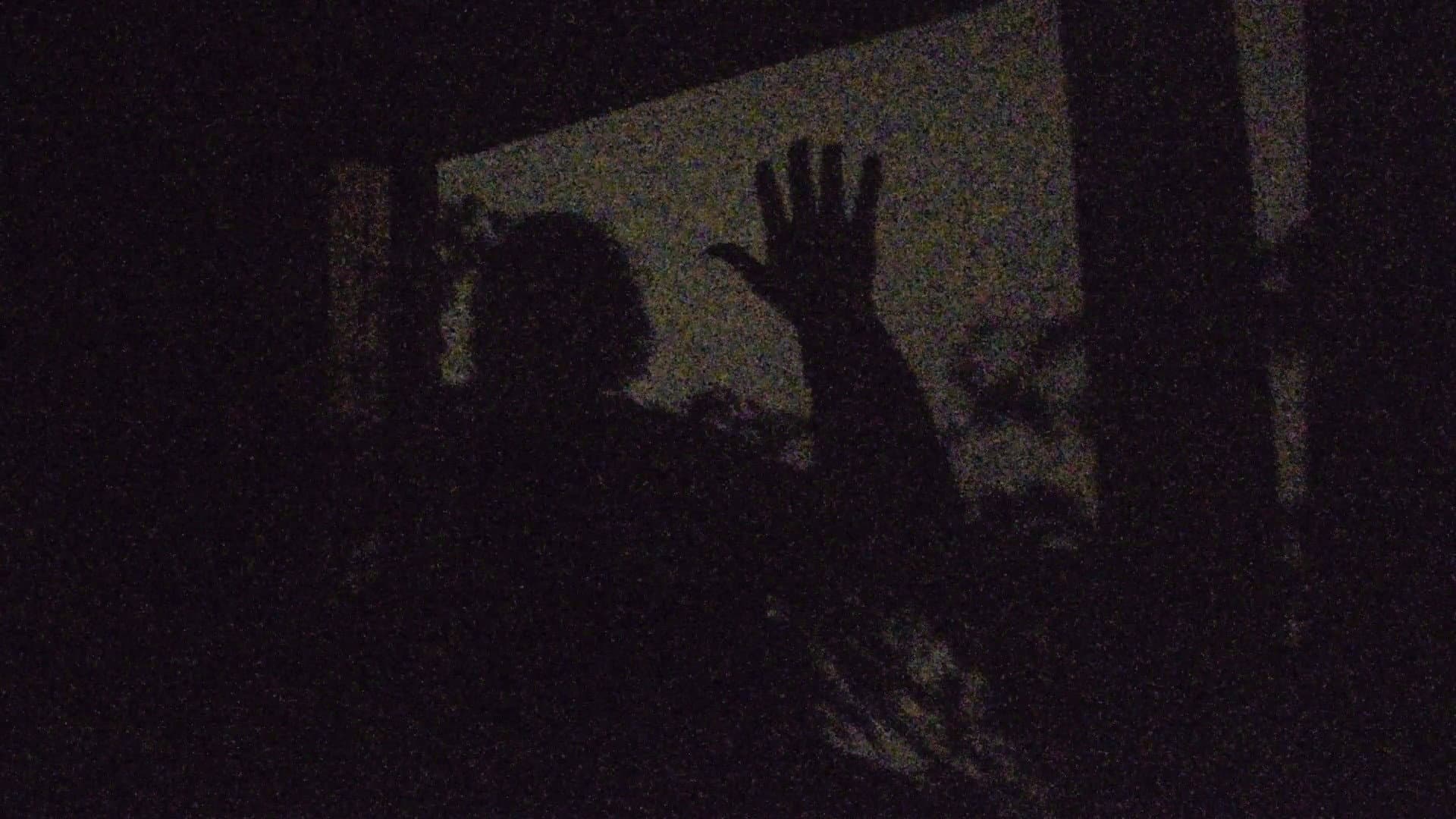 A garden of shadows
