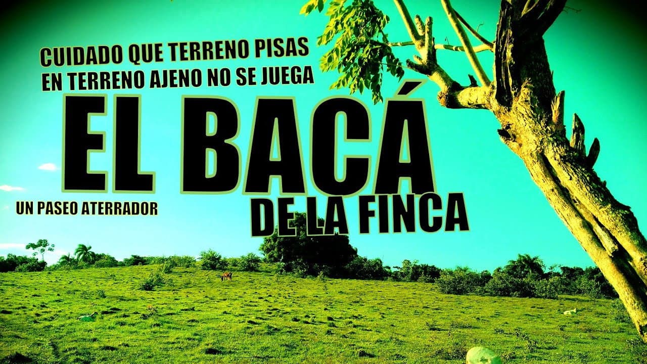 Hector Vidal