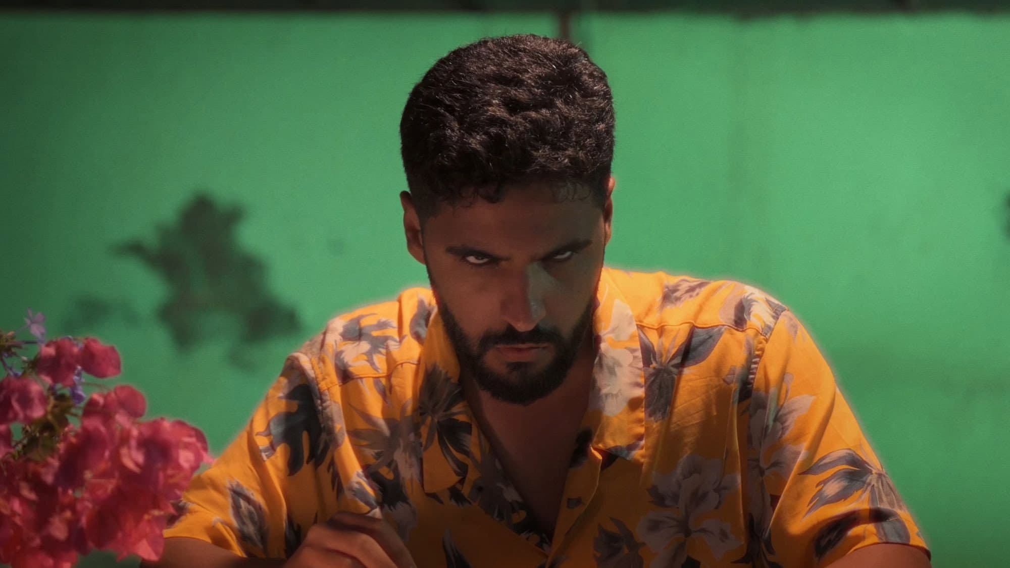 Taha Talaat