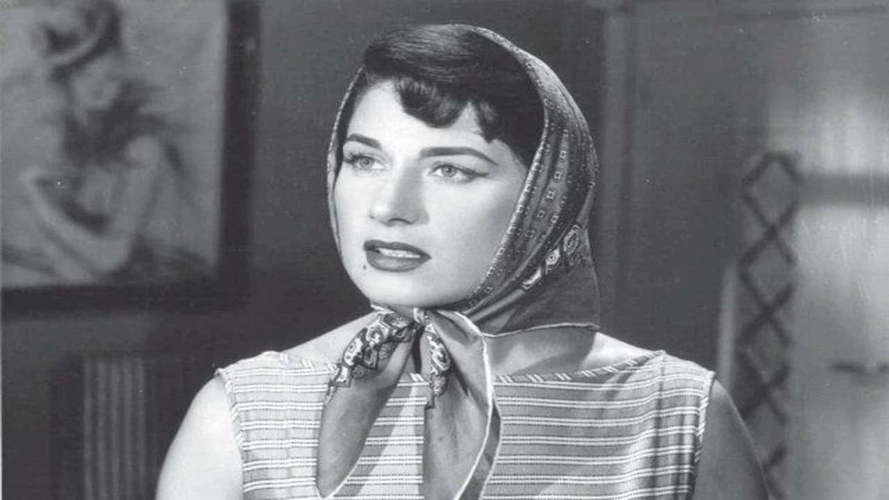 Hussein Fawzi