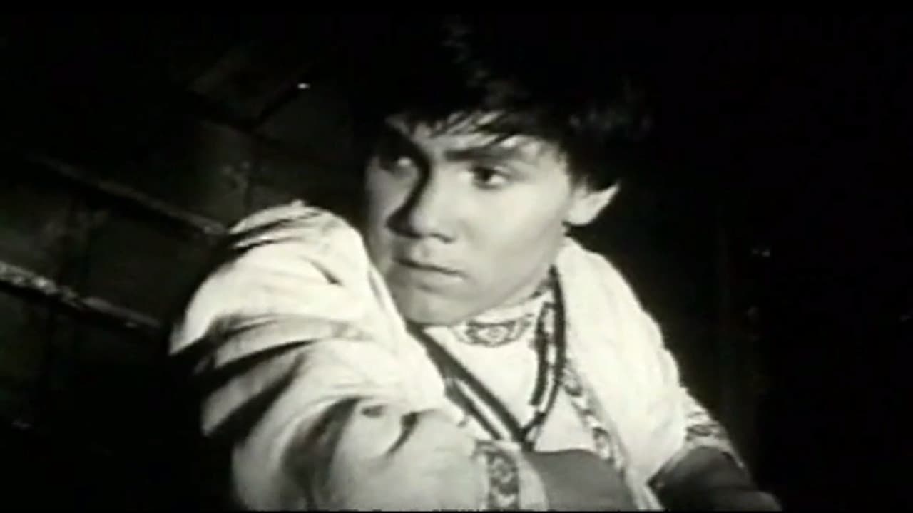 Vladimir Volchik