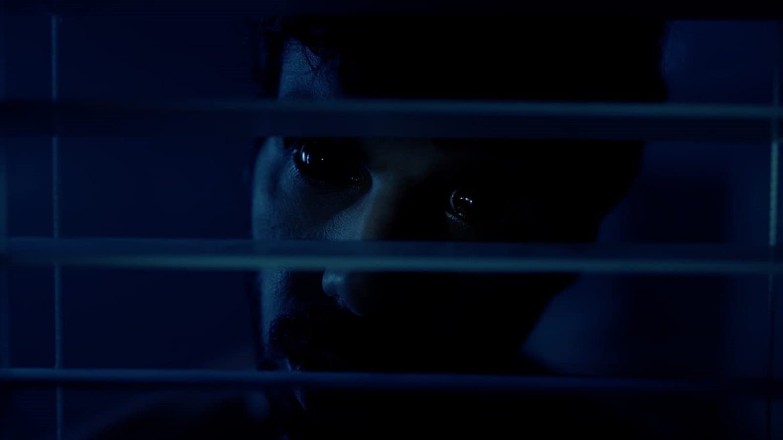 Kabir Singh