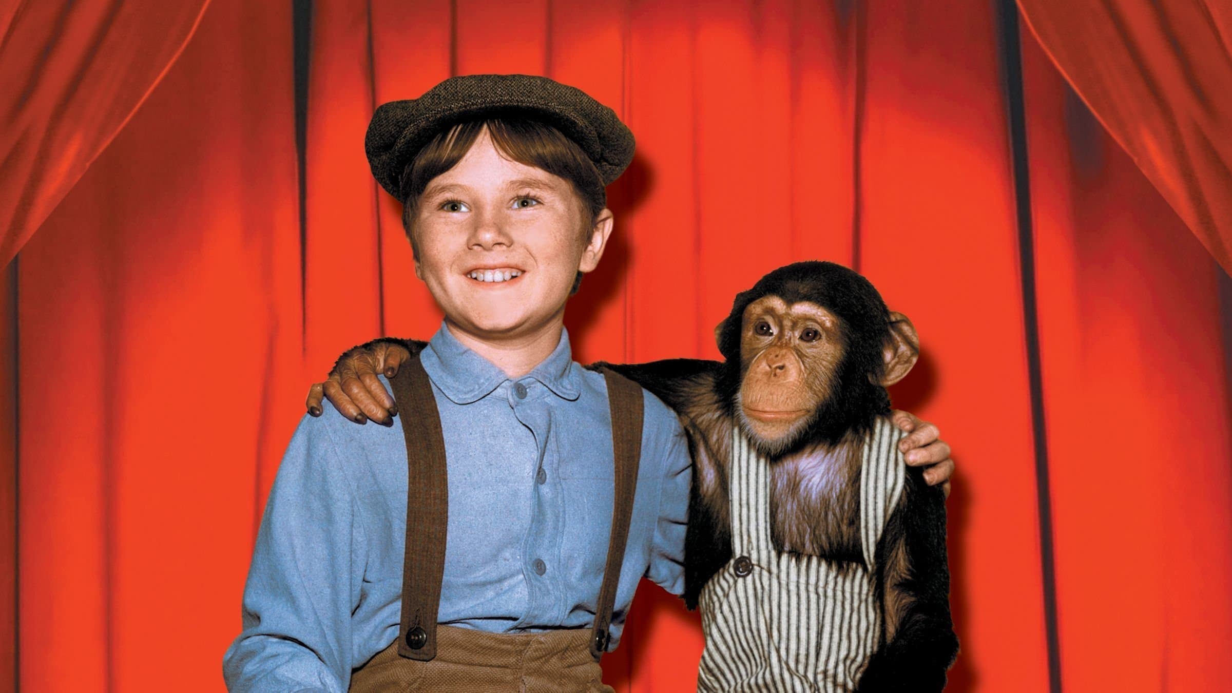 The Marquis Chimps
