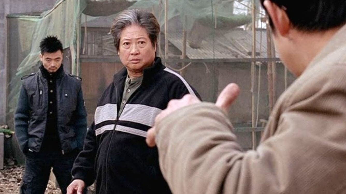 Mao Junjie