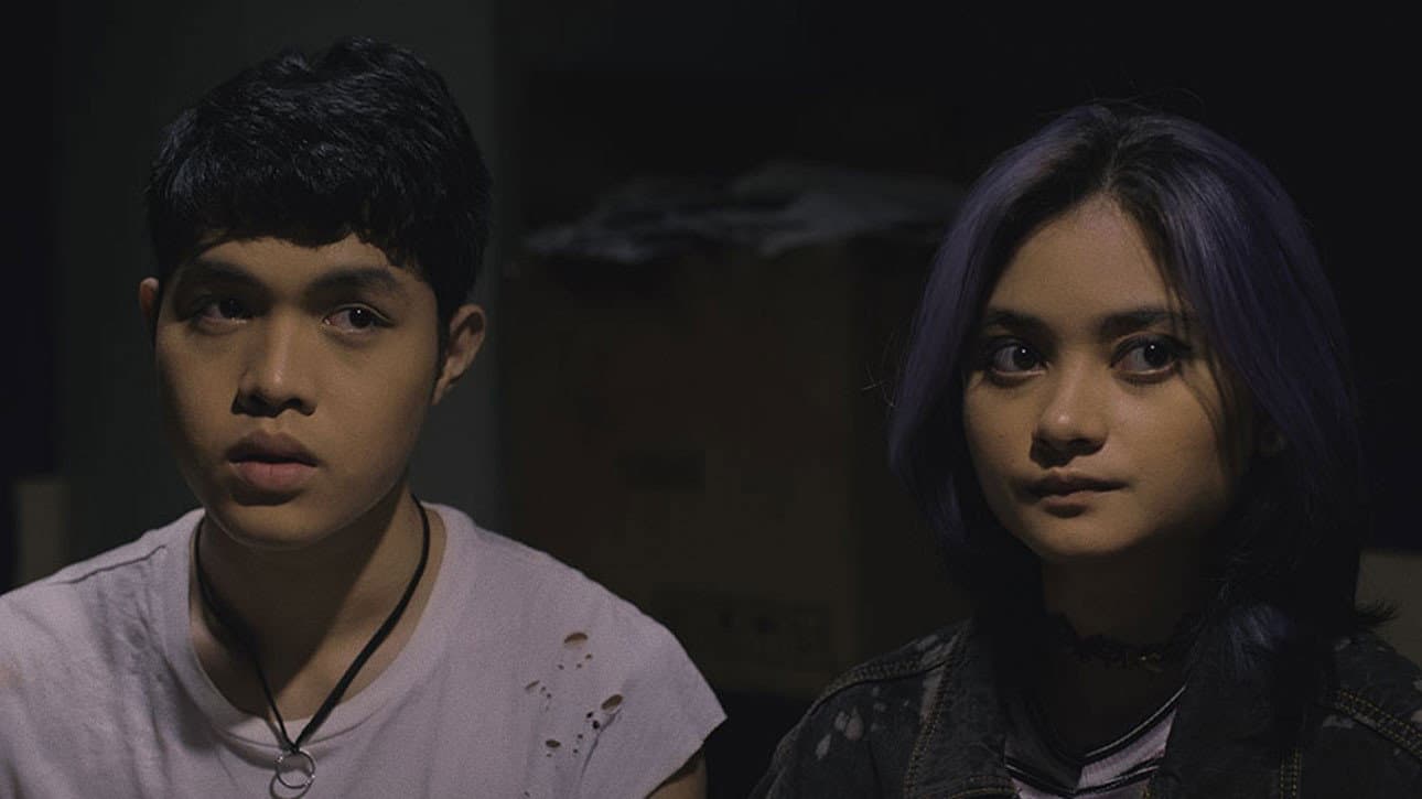 Harvey Bautista