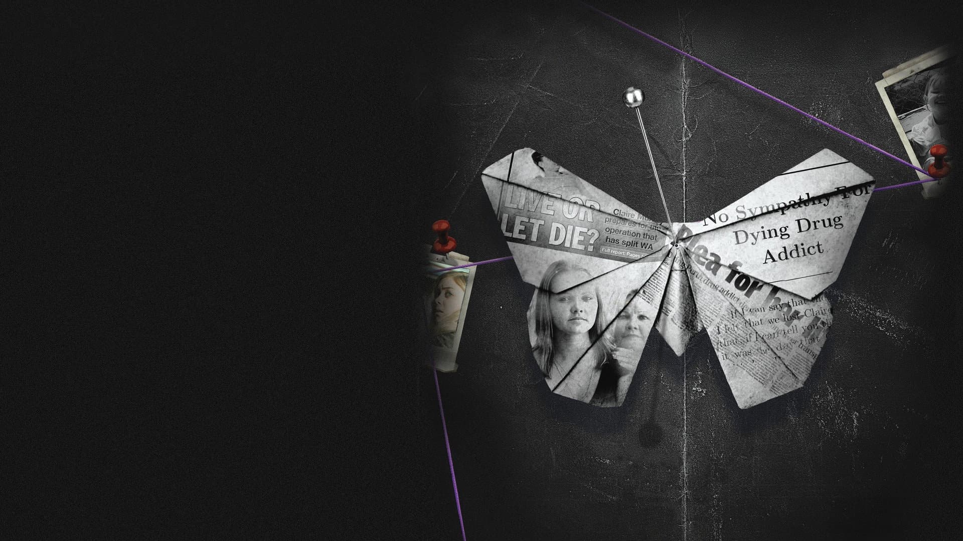 Wild Butterfly
