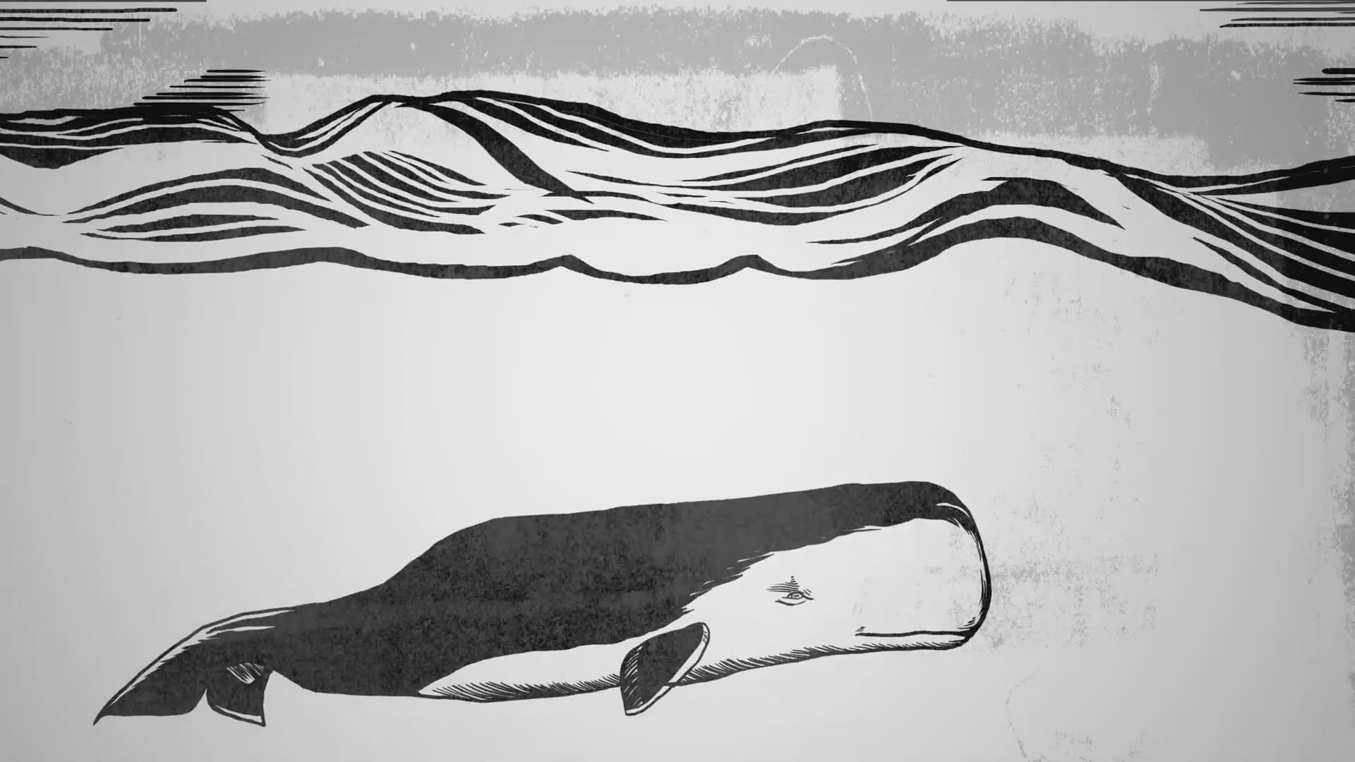Christopher Ohge