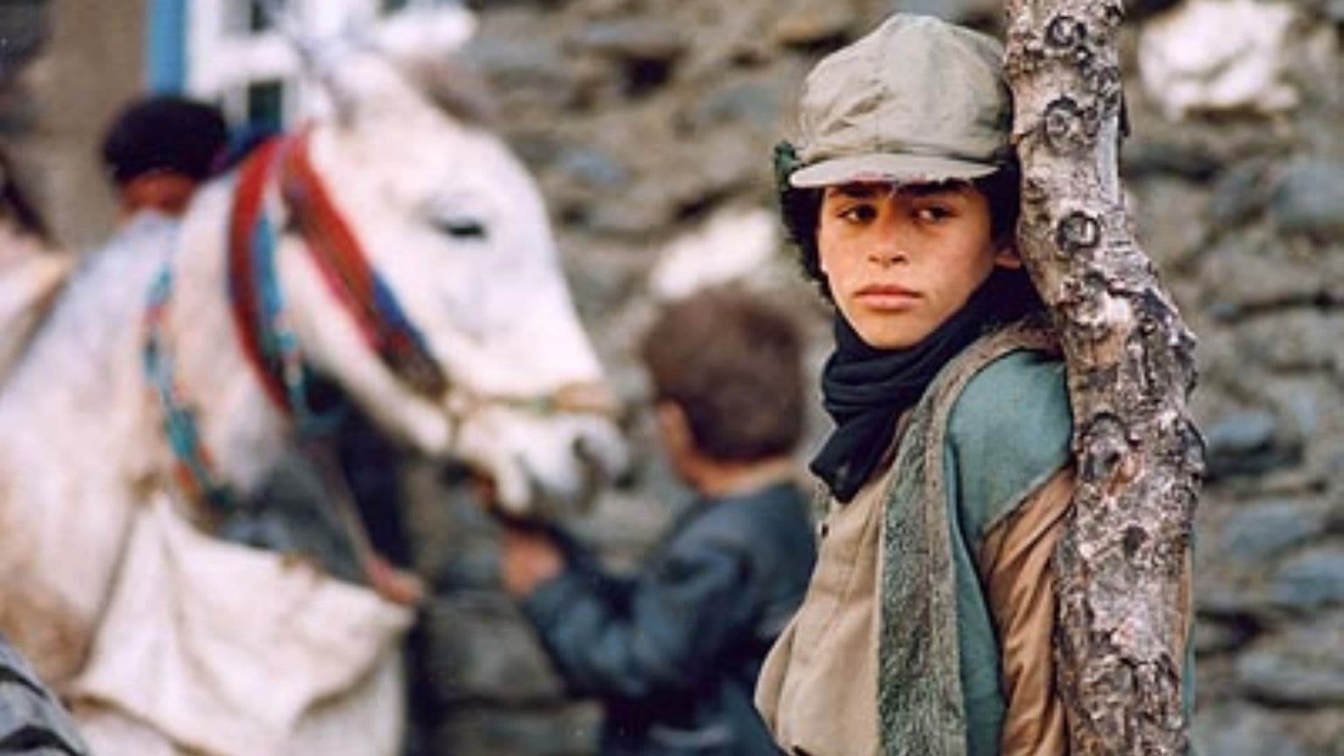Amaneh Ekhtiar-dini