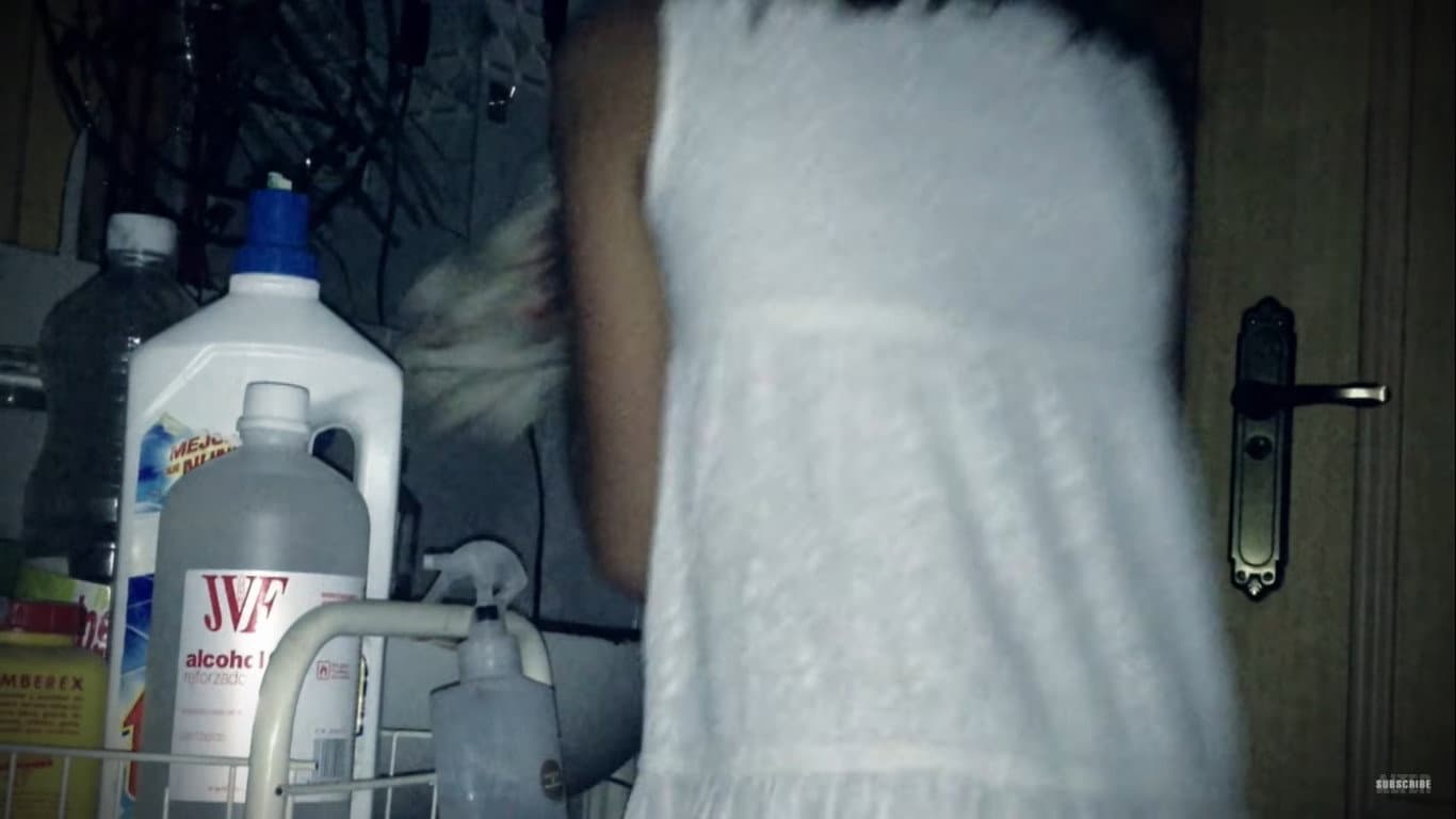 Ayleen Petrescu