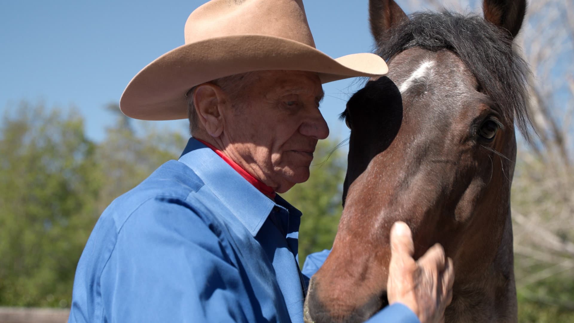 Monty Roberts