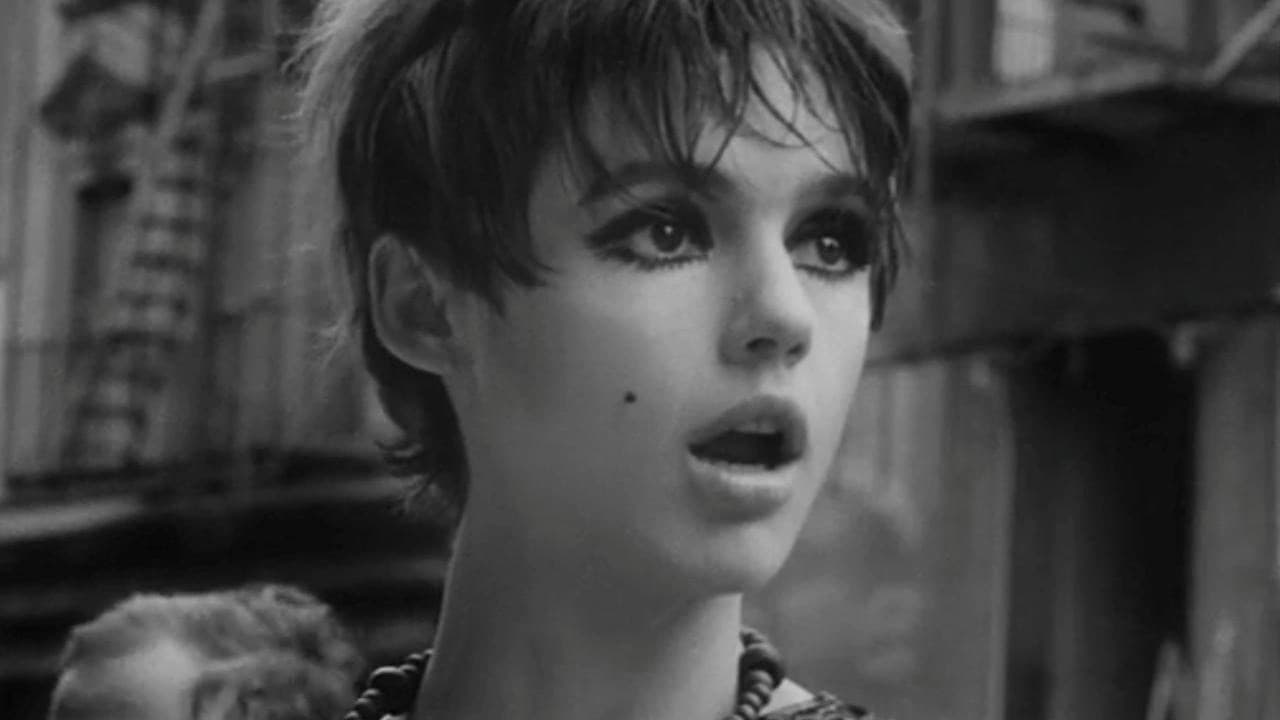 Roger Vadim