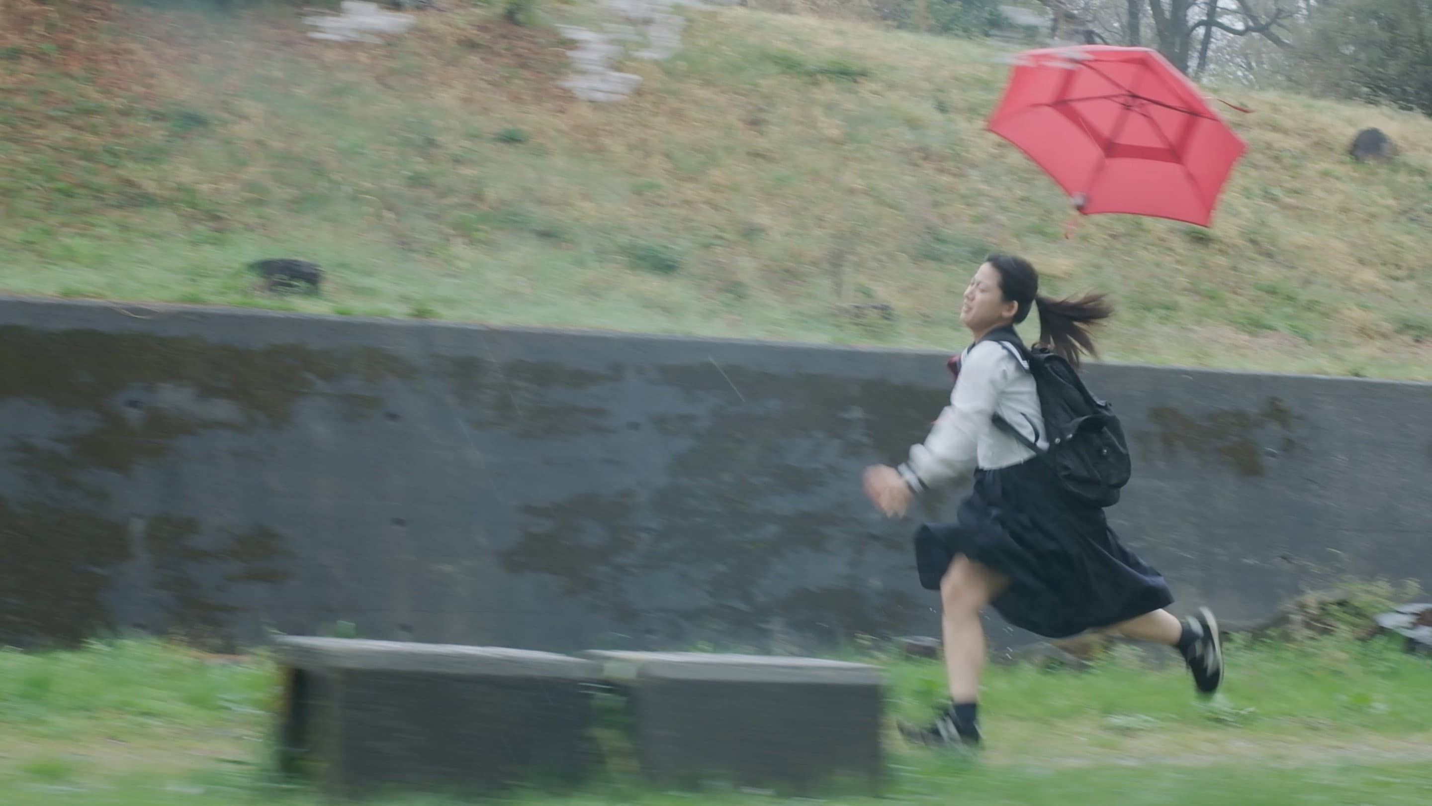 Remi Miyamori