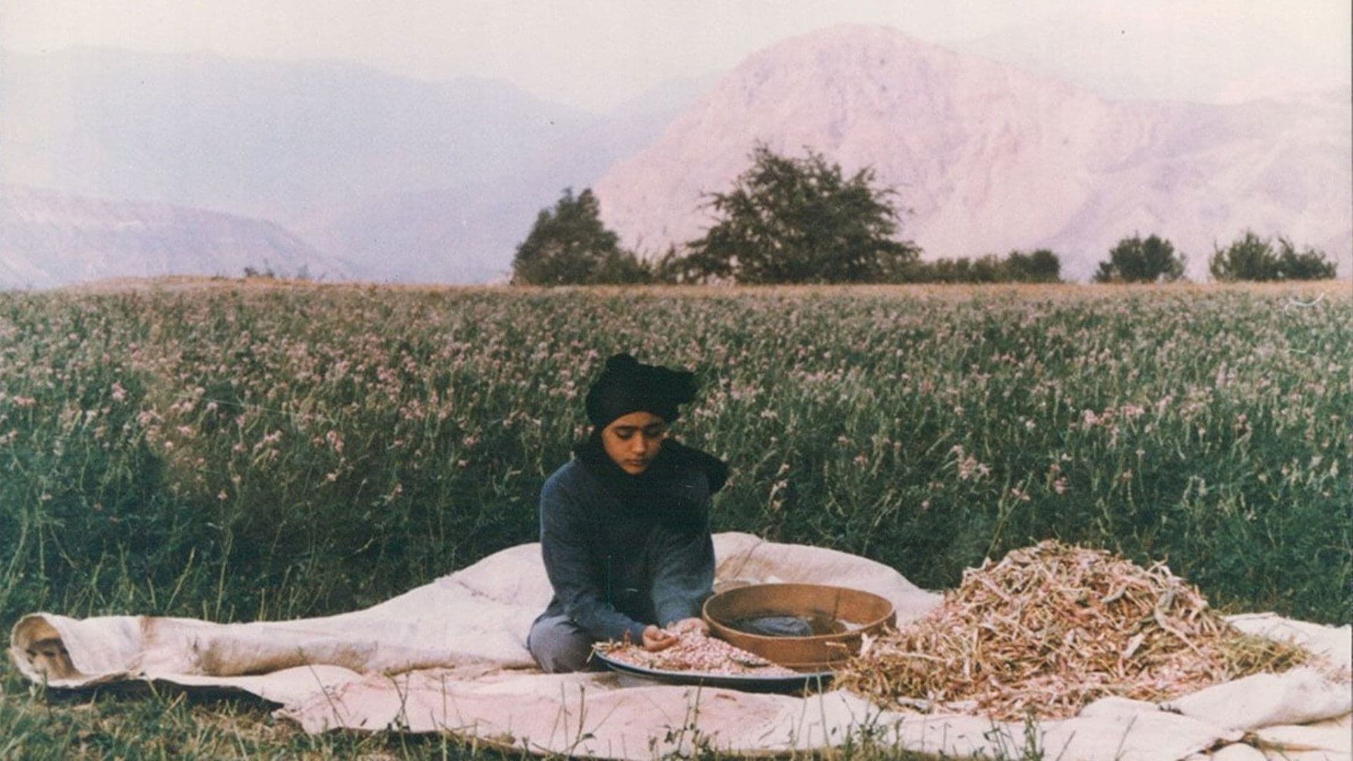 Aram Ghasemy