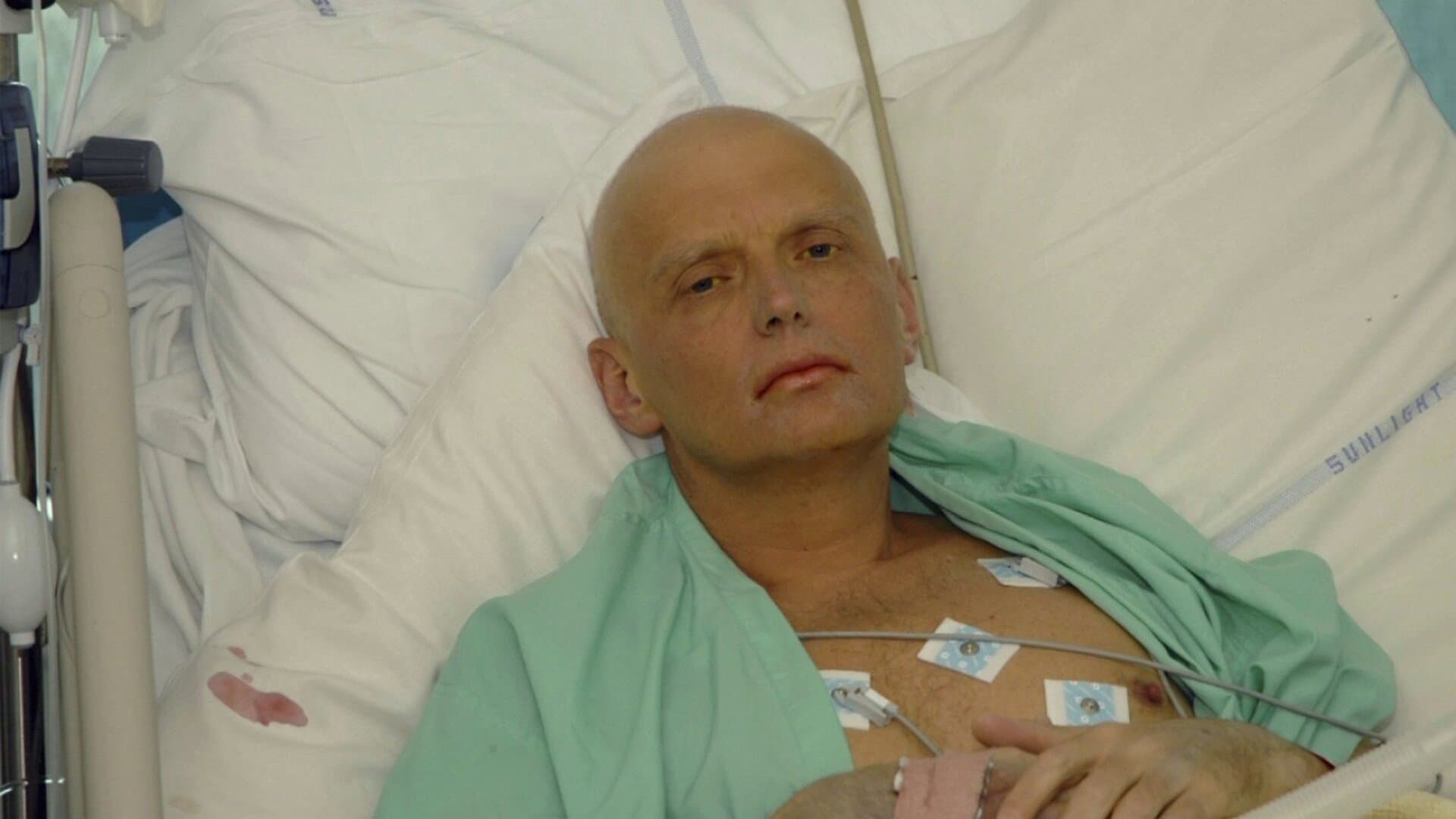 Marina Litvinenko