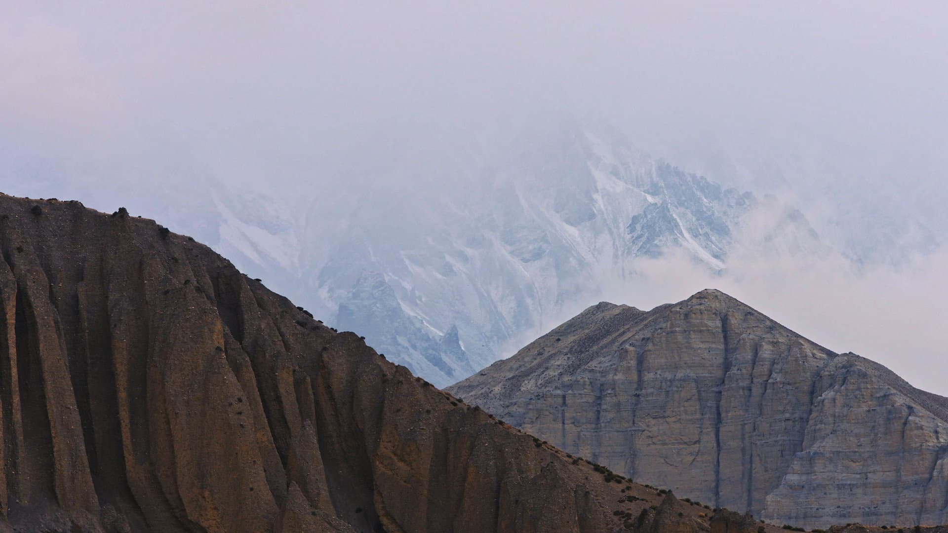 Tashi Gurung
