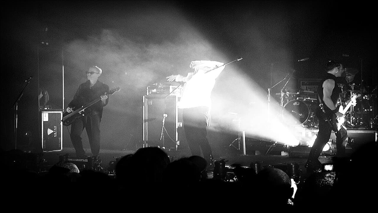 David J