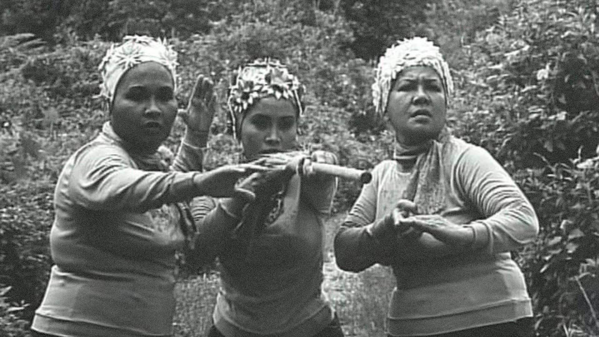 Malek Selamat