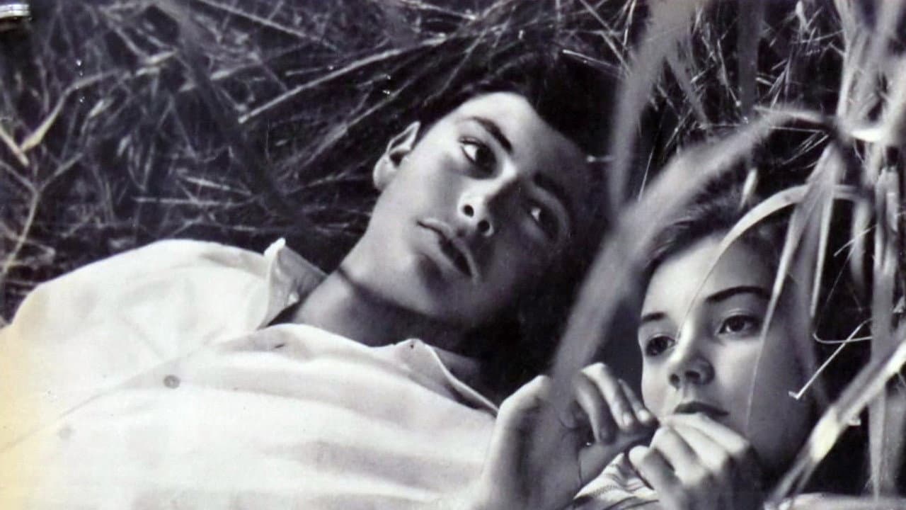Antonietta Caiazzo